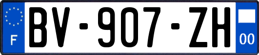 BV-907-ZH