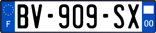 BV-909-SX