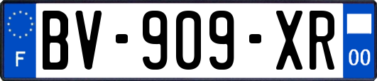 BV-909-XR