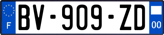 BV-909-ZD