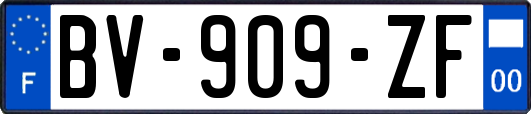 BV-909-ZF