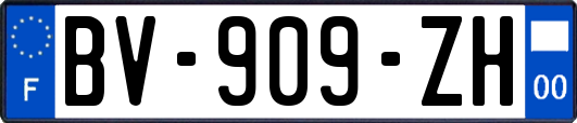 BV-909-ZH