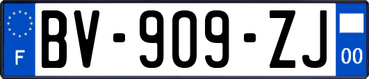 BV-909-ZJ