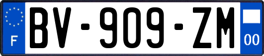 BV-909-ZM