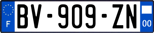 BV-909-ZN