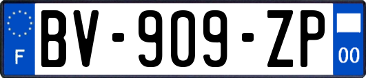 BV-909-ZP