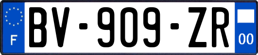 BV-909-ZR