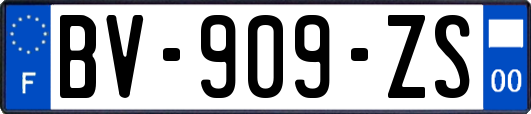 BV-909-ZS