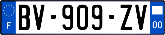 BV-909-ZV