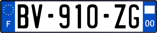 BV-910-ZG