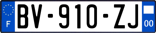 BV-910-ZJ