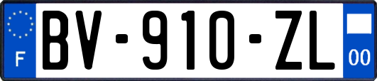 BV-910-ZL