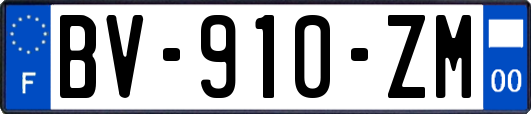 BV-910-ZM