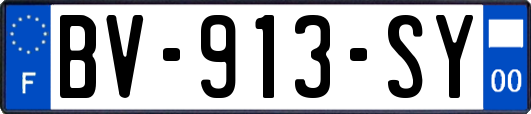 BV-913-SY