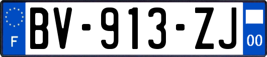 BV-913-ZJ