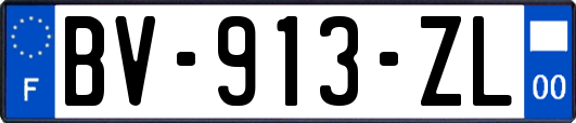 BV-913-ZL