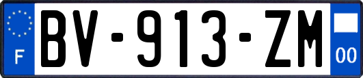 BV-913-ZM