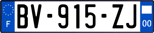 BV-915-ZJ