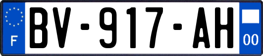 BV-917-AH