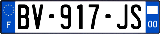 BV-917-JS