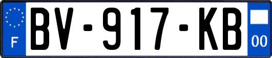 BV-917-KB