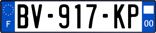 BV-917-KP