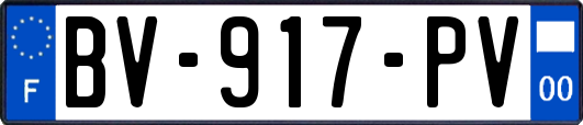 BV-917-PV