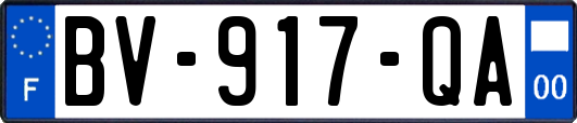 BV-917-QA