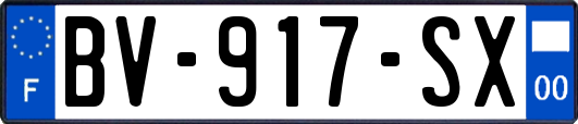 BV-917-SX