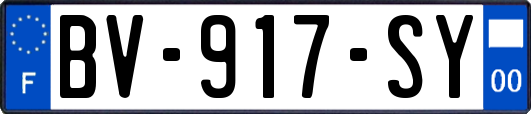 BV-917-SY