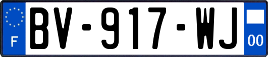 BV-917-WJ