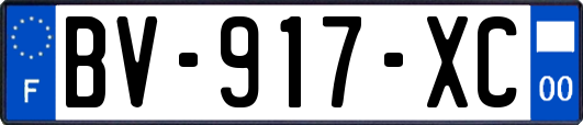 BV-917-XC