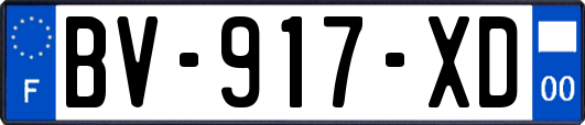 BV-917-XD