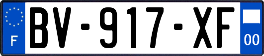 BV-917-XF