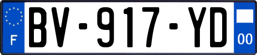 BV-917-YD