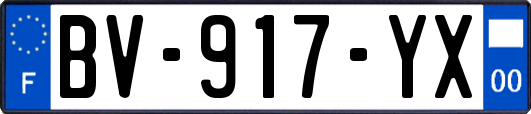 BV-917-YX