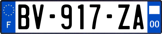 BV-917-ZA