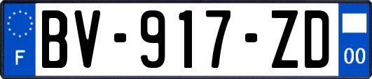 BV-917-ZD