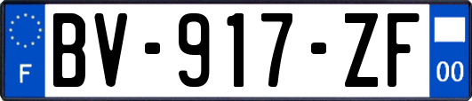 BV-917-ZF