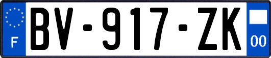 BV-917-ZK