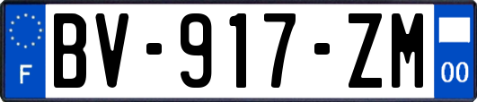 BV-917-ZM