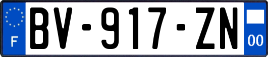 BV-917-ZN