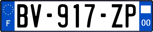 BV-917-ZP