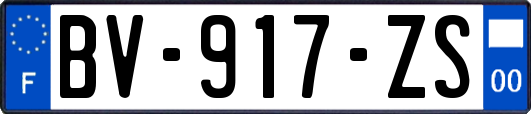 BV-917-ZS