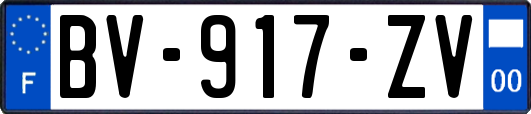 BV-917-ZV