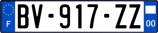 BV-917-ZZ