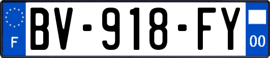 BV-918-FY