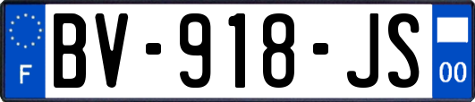 BV-918-JS