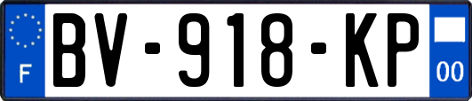 BV-918-KP