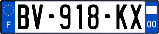 BV-918-KX